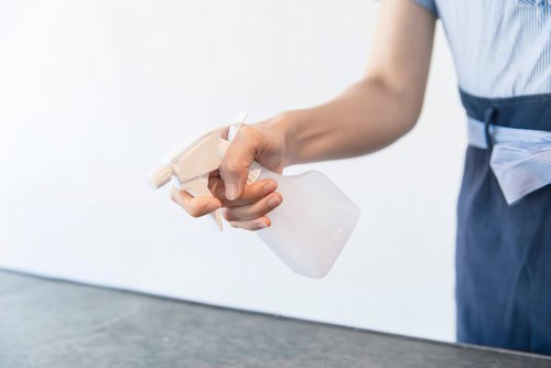 Can Disinfectant Spray Kill Bugs?