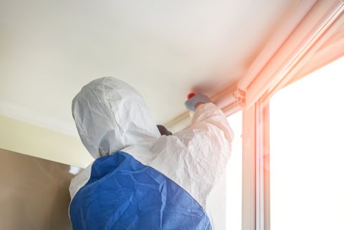 How To Prepare Your Office for a Disinfection Service