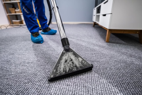Professional Disinfection Services