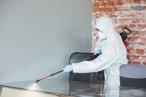 The Longevity and Efficacy of Disinfection Coatings in Offices